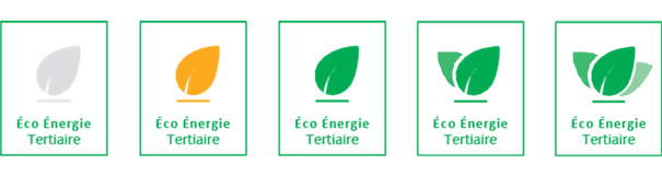 “Total Eco Energy” logos in gradient color.