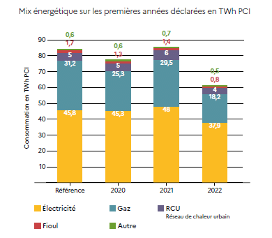 Energy consumption France, histogram by type, TWh.