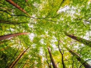 rappel,enjeux,décarbonation,strategie,nationale,bas,carbone,focus,secteur,bâtiment,mix,énergétique,2030,2050,retard,consommer,moins,mieux,PPE,où,en,est,on,loi,programmation,plurinaturelle,energie,épondre,questions,stratégiques,gouvernement,tranché