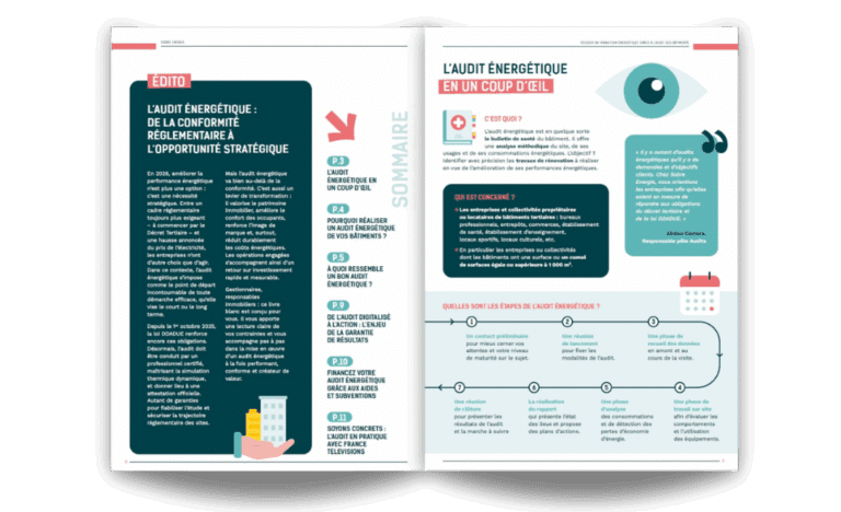 Extrait livre blanc guide de l'audit énergétique